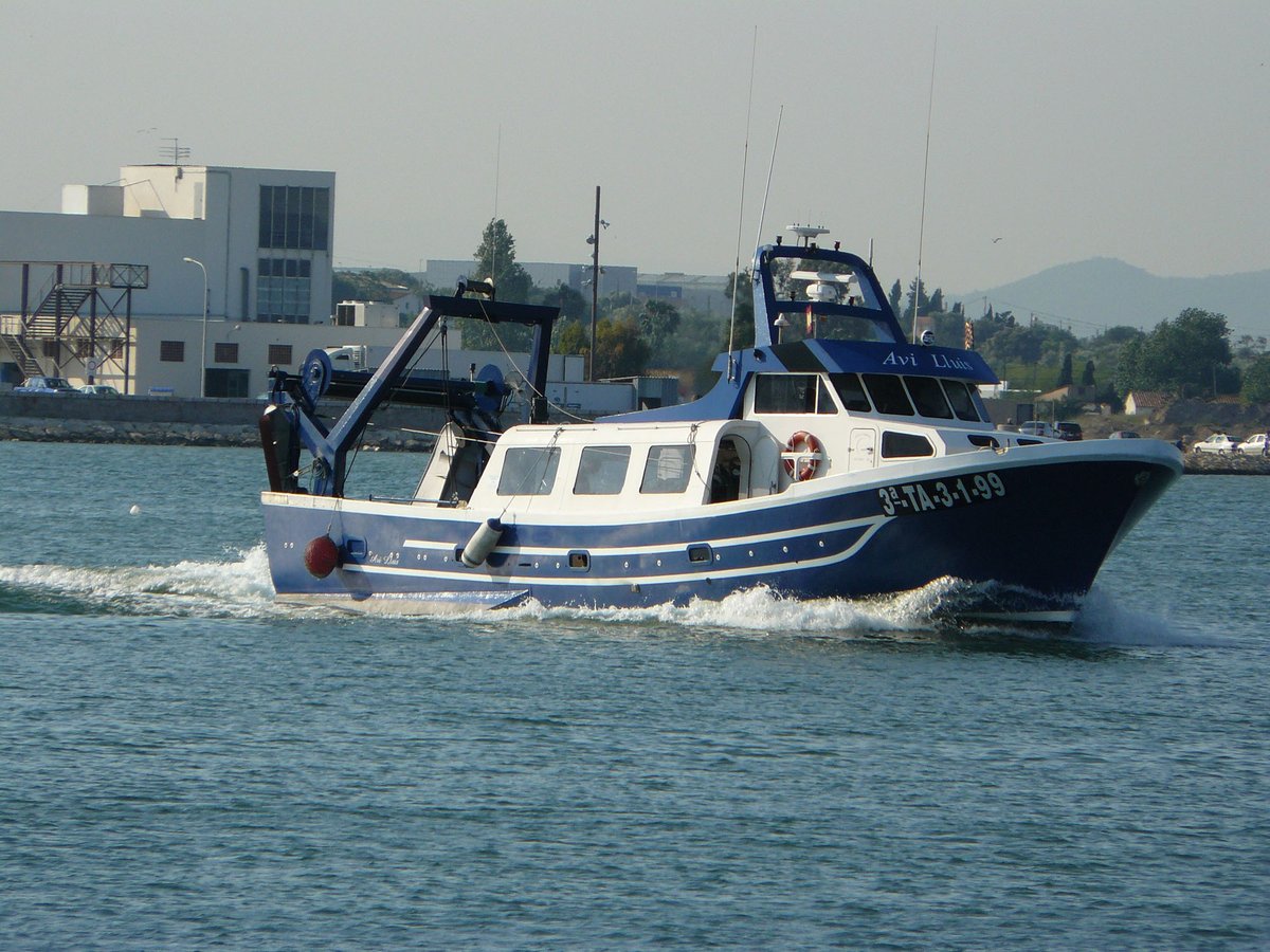 Imagen de Capitol 9 - 2007